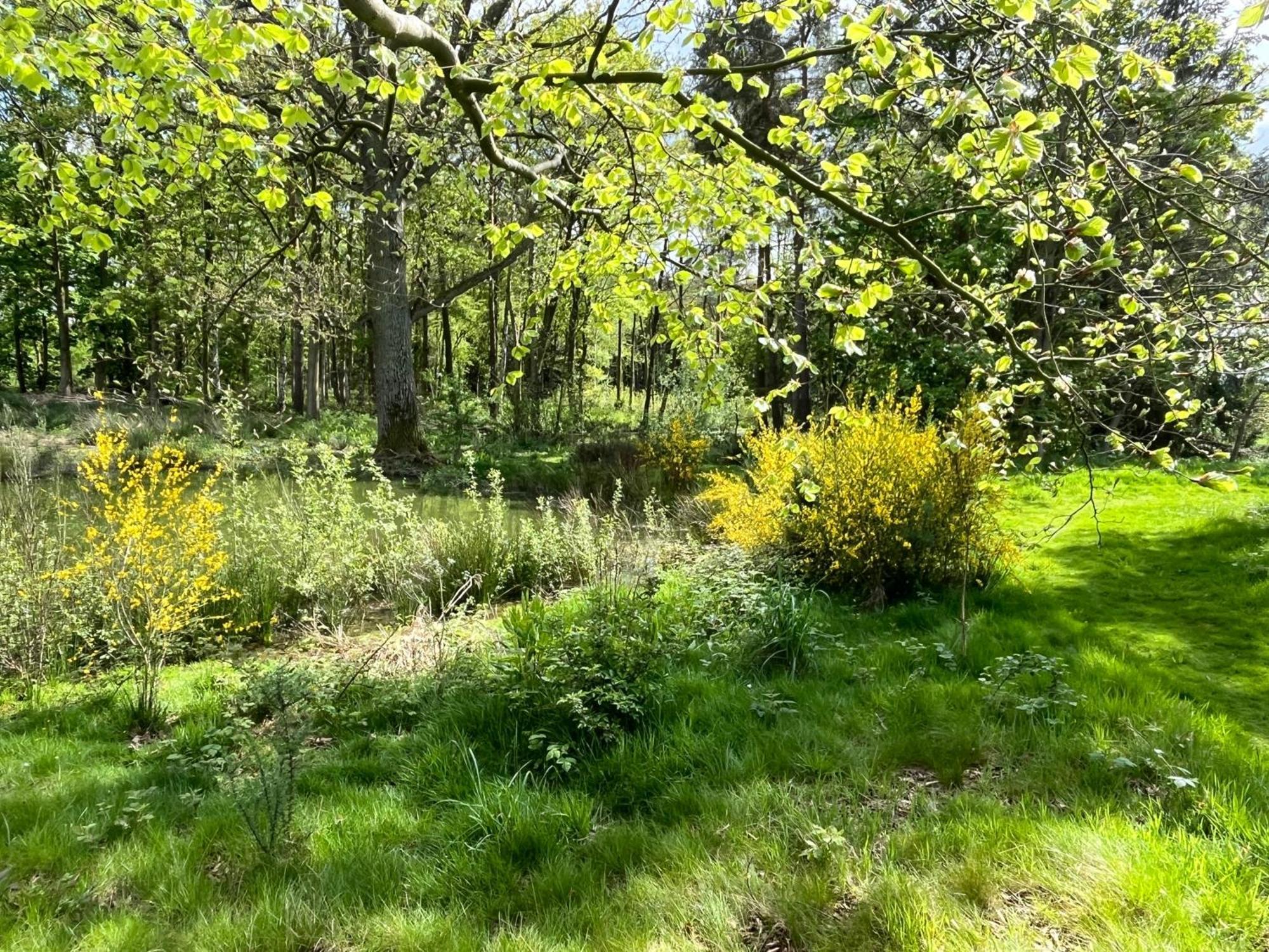 Oak Boutique Includes Hot Tub Air Con & Dog Holiday home *