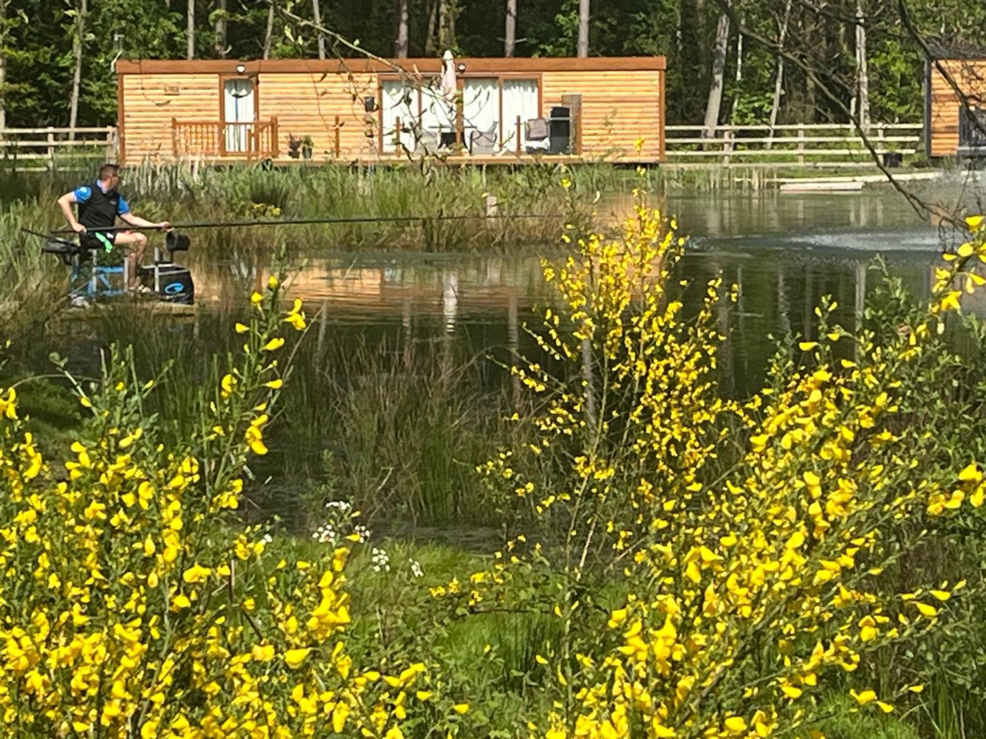 Holiday home Oak Boutique Includes Hot Tub Air Con & Dog *